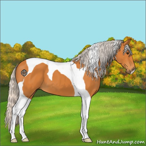 Horse Color:Silver Buckskin Tobiano