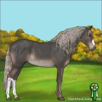 Horse Color:Silver Black 