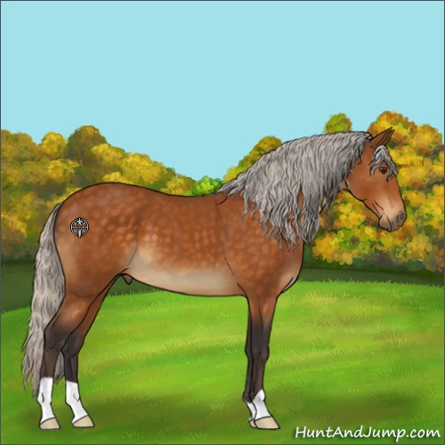 Horse Color:Silver Buckskin 