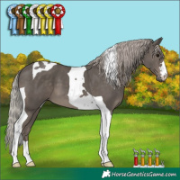 Horse Color:Silver Black Tobiano 
