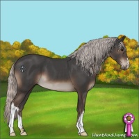 Horse Color:Silver Black 