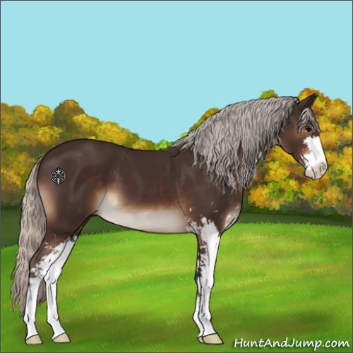 Horse Color:Silver Brown Sabino 