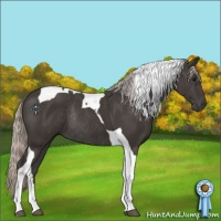 Horse Color:Silver Black Tobiano Rabicano