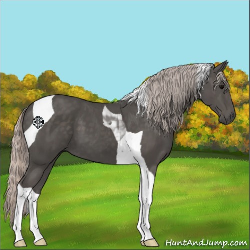 Horse Color:Silver Black Tobiano 