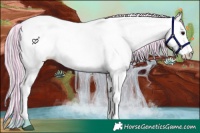 Horse Color:Painted White Spotted Silver Brown