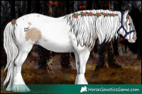 Horse Color:Silver Brown Dun Splash Tobiano 