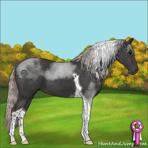 Horse Color:Silver Black Tobiano 