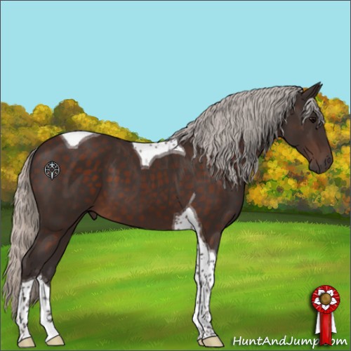 Horse Color:Silver Brown Tobiano 