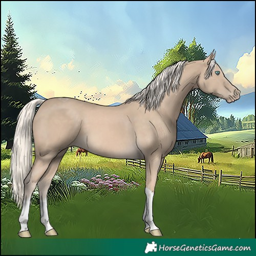 Horse Color:Cremello Tobiano