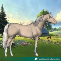 Horse Color:Cremello Tobiano 