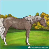 Horse Color:Silver Black 