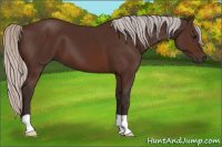 Horse Color:Silver Brown 