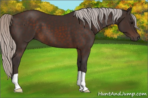 Horse Color:Silver Brown 