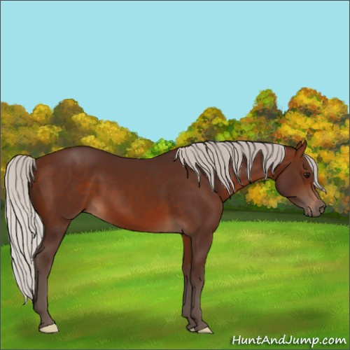 Horse Color:Silver Brown 