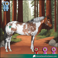 Horse Color:White Spotted Brown Rabicano 