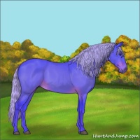 Horse Color:Watercolor Silver Brown