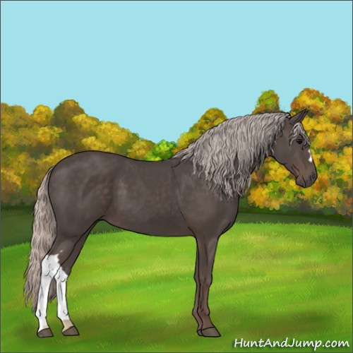 Horse Color:Silver Black 