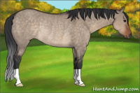 Horse Color:Brown Dun Rabicano 