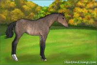 Horse Color:Brown Dun Rabicano 
