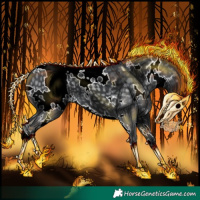 Horse Color:White Spotted Silver Black Chinchilla 