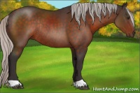 Horse Color:Silver Brown Rabicano 