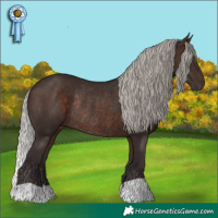 Horse Color:Silver Brown Rabicano 