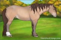 Horse Color:Sable Champagne Varnish Rabicano 