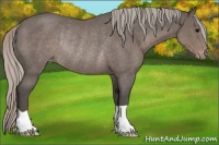 Horse Color:Silver Black Varnish Rabicano 