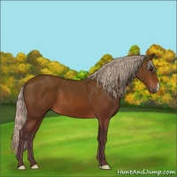 Horse Color:Silver Brown 