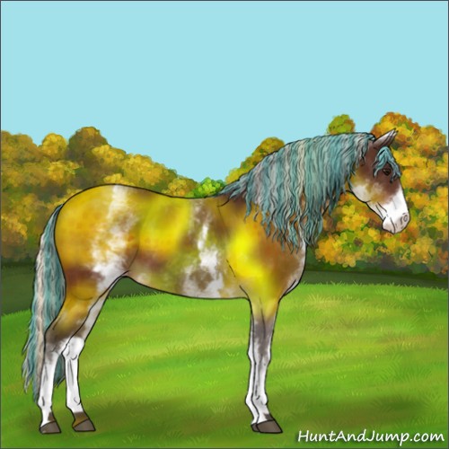 Horse Color:Painted White Spotted Silver Bay 