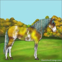 Horse Color:Painted White Spotted Silver Bay 