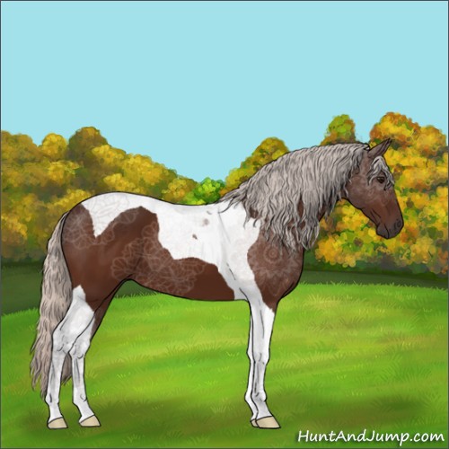 Horse Color:Silver Bay Tobiano 
