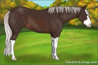 Horse Color:Silver Brown Splash 