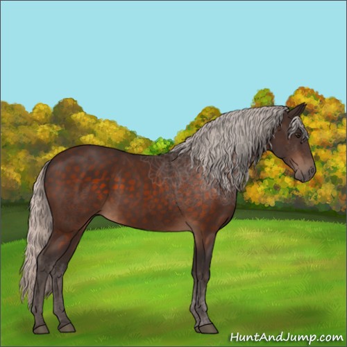 Horse Color:Silver Brown 