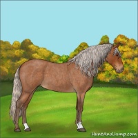 Horse Color:Silver Buckskin Roan 