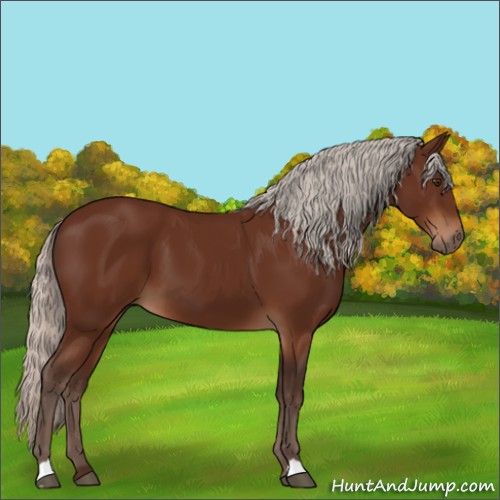 Horse Color:Silver Brown 