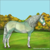 Horse Color:Watercolor Silver Smoky Blue Onyx 