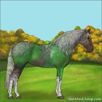 Horse Color:Silver Brown Tobiano 