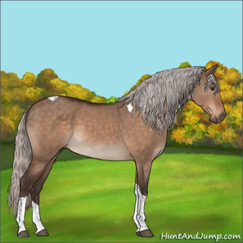 Horse Color:Silver Brown Dun Tobiano 