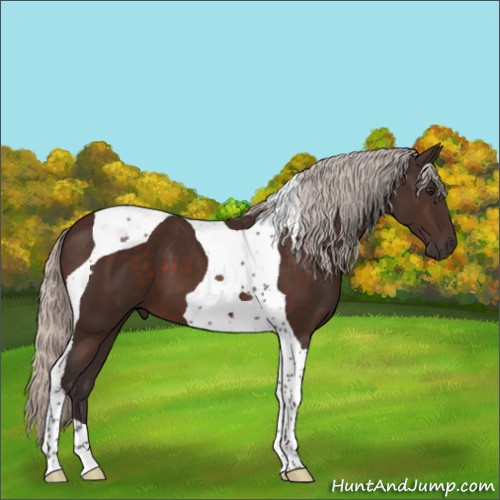 Horse Color:Silver Brown Tobiano 