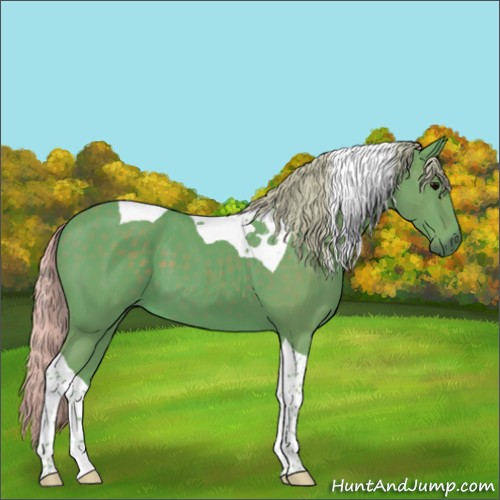 Horse Color:Watercolor Silver Black Tobiano
