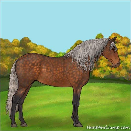Horse Color:Silver Buckskin