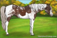Horse Color:Silver Brown Tobiano 