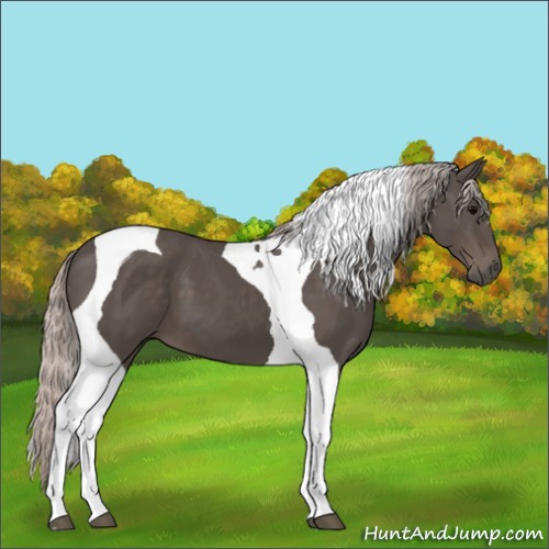 Horse Color:Silver Black Tobiano 