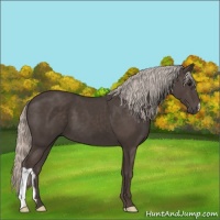 Horse Color:Silver Black 