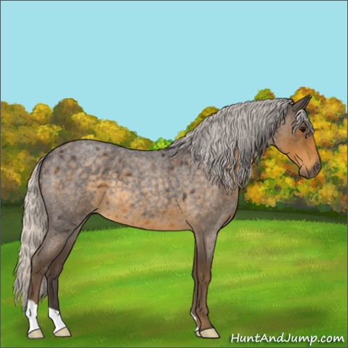 Horse Color:Silver Smoky Blue Roan