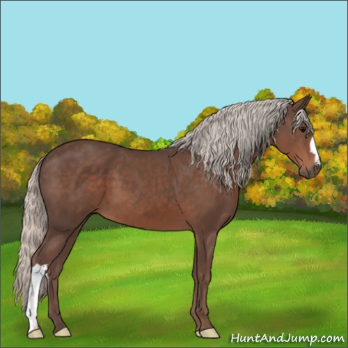 Horse Color:Silver Black 