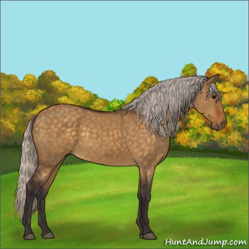 Horse Color:Silver Buckskin Dun 