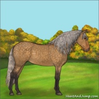 Horse Color:Silver Buckskin Dun