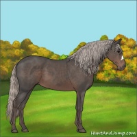 Horse Color:Silver Black 